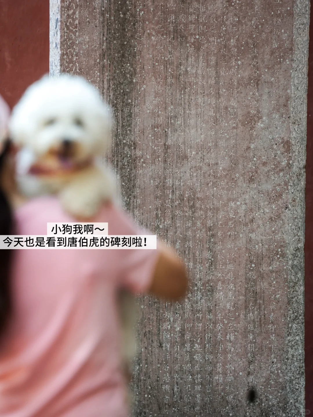 比起黄山，我更爱隔壁这座冷门道教仙山‼️