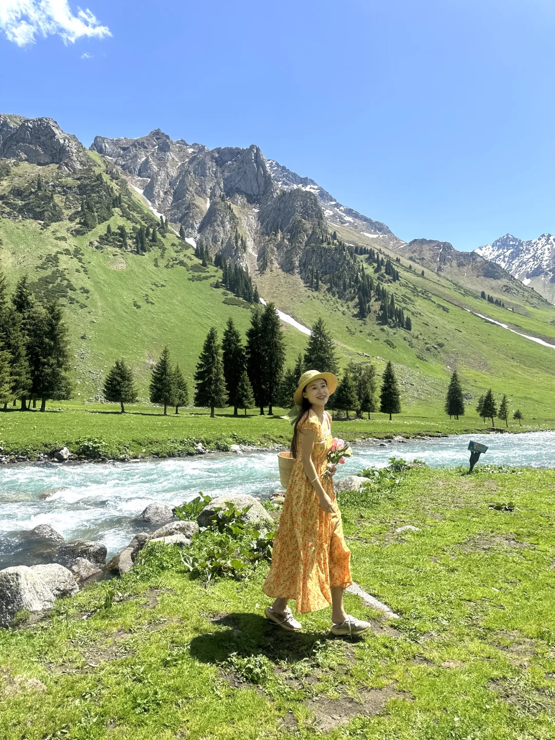在新疆拍到了我的人生live!🌲🐂🐑🍃