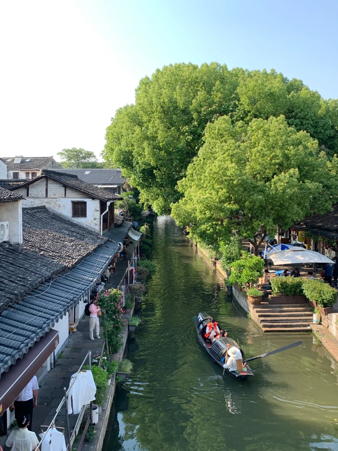 迅哥儿，你家好美🥹