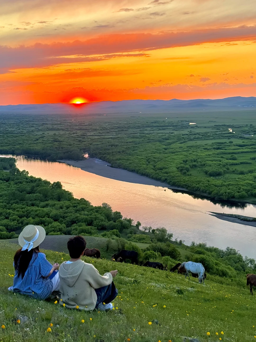 Live实拍❗️初夏的内蒙古才是人间理想❗️