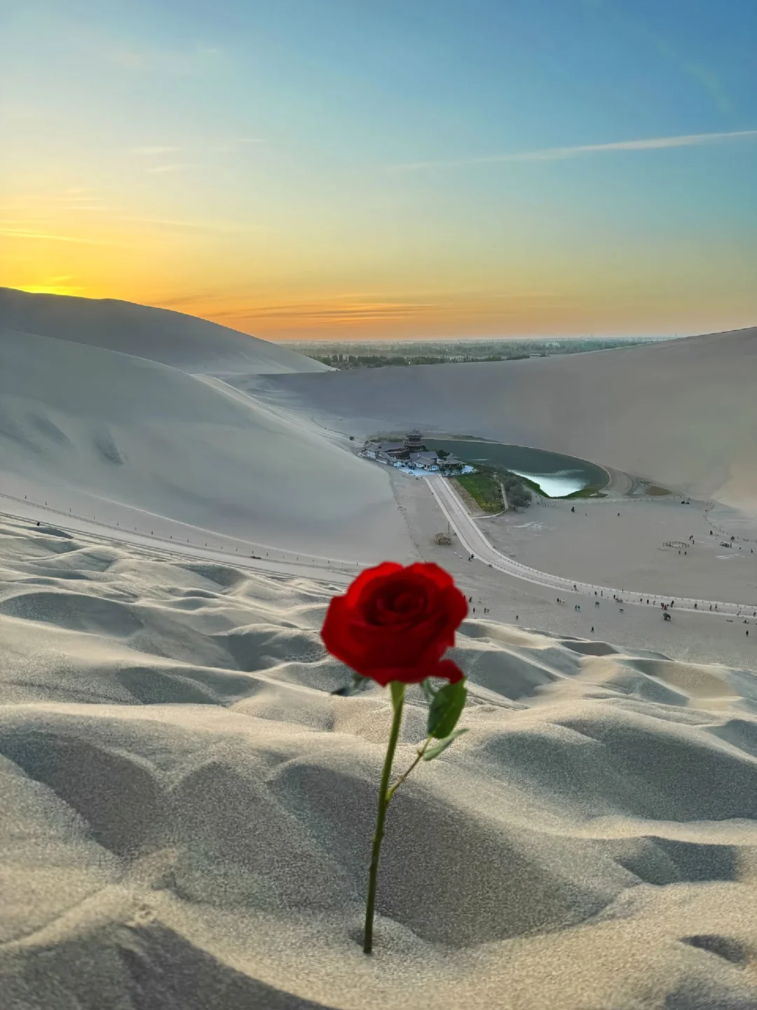 关于我和男朋友报了个西北半自由团后续……