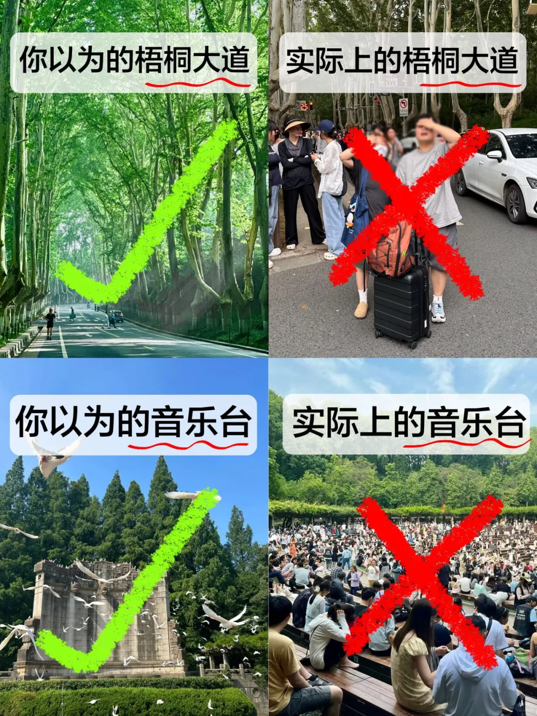 南京钟山风景区夏日轻松玩法，看这篇就够啦