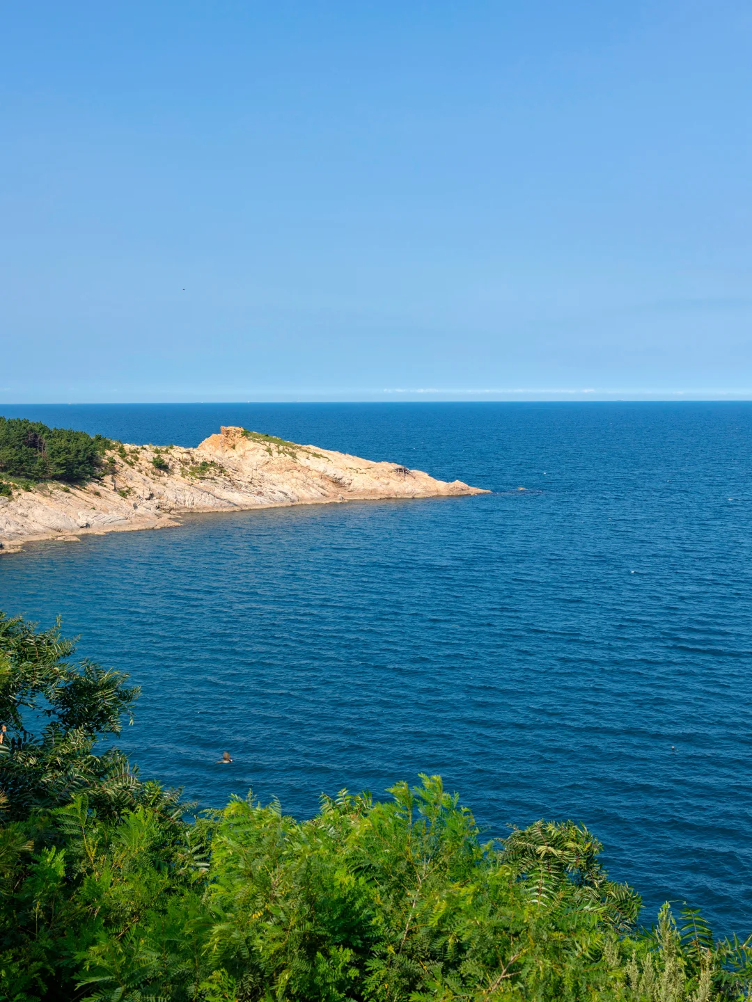 这个夏天把威海拍成了动漫里的世界❗️