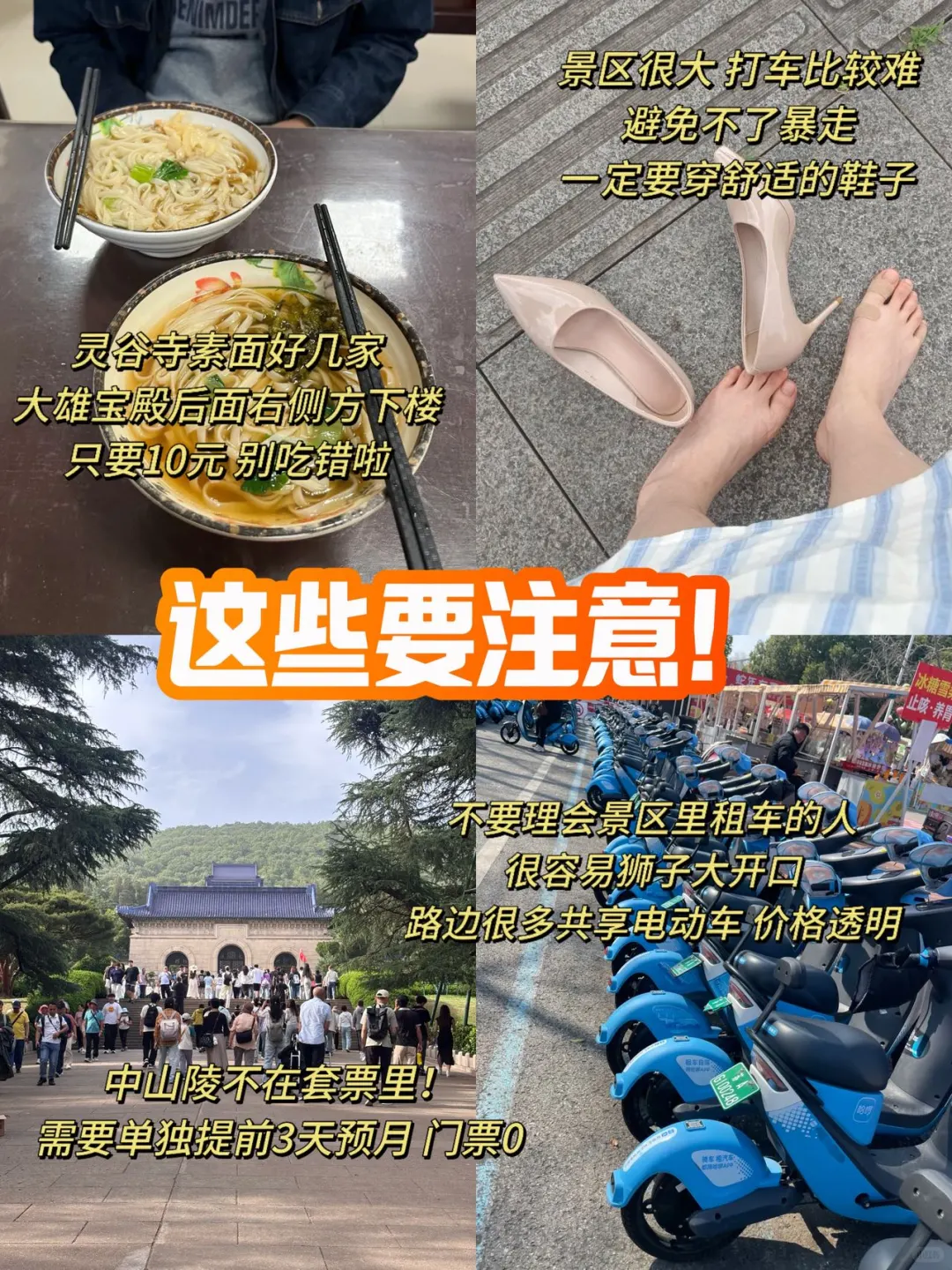南京钟山风景区夏日轻松玩法，看这篇就够啦