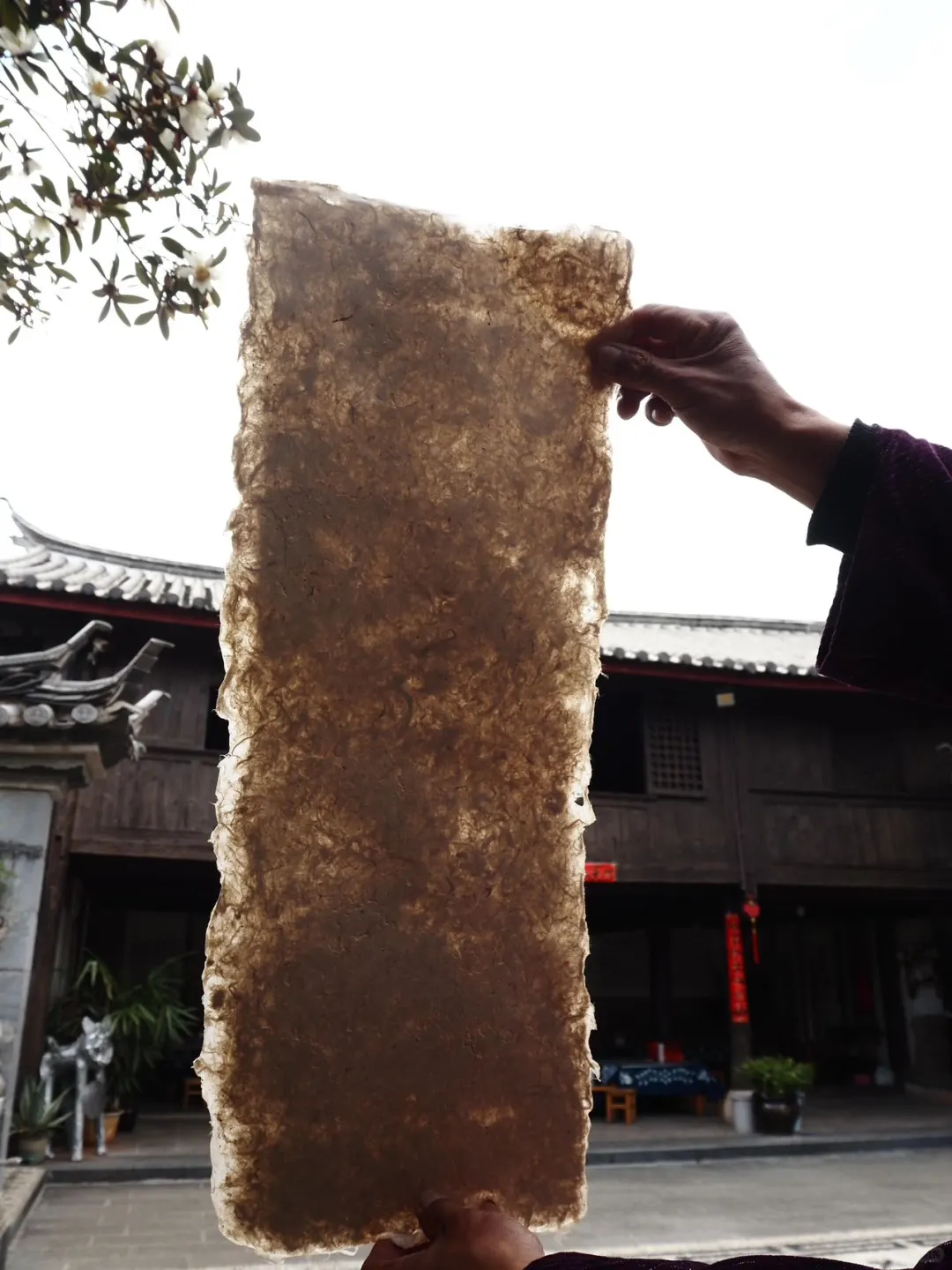 这个暑假，一定要来云南感受一下四季如春