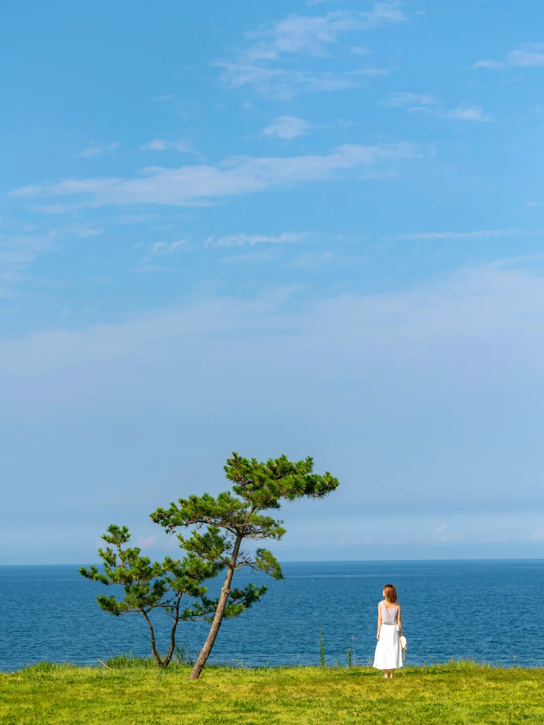 这个夏天把威海拍成了动漫里的世界❗️