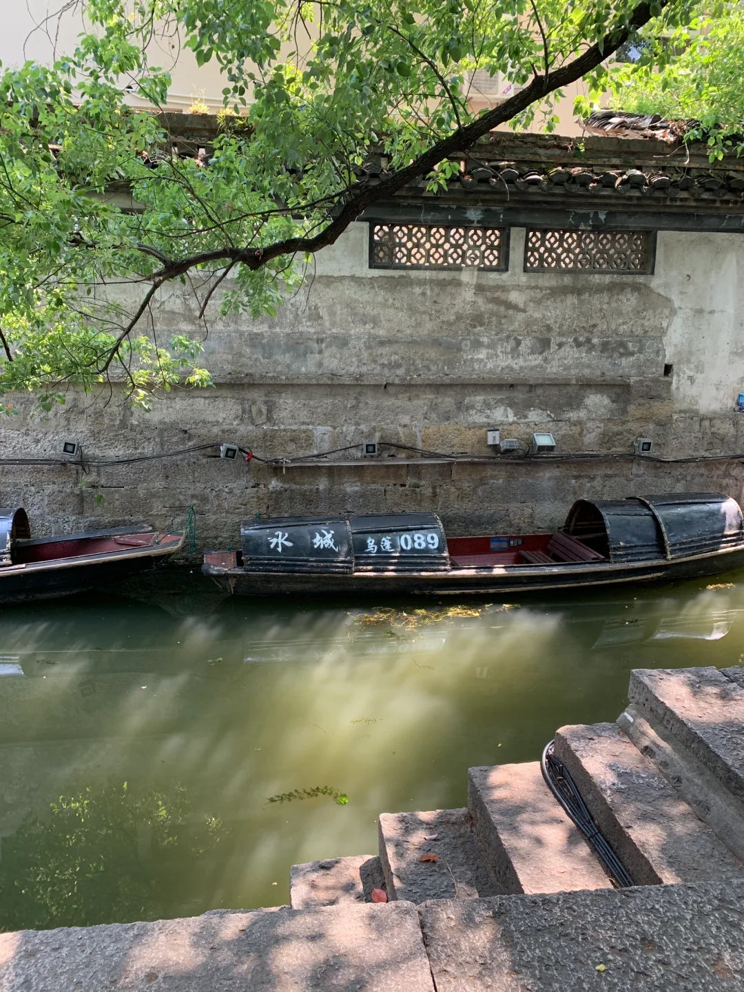 迅哥儿，你家好美🥹