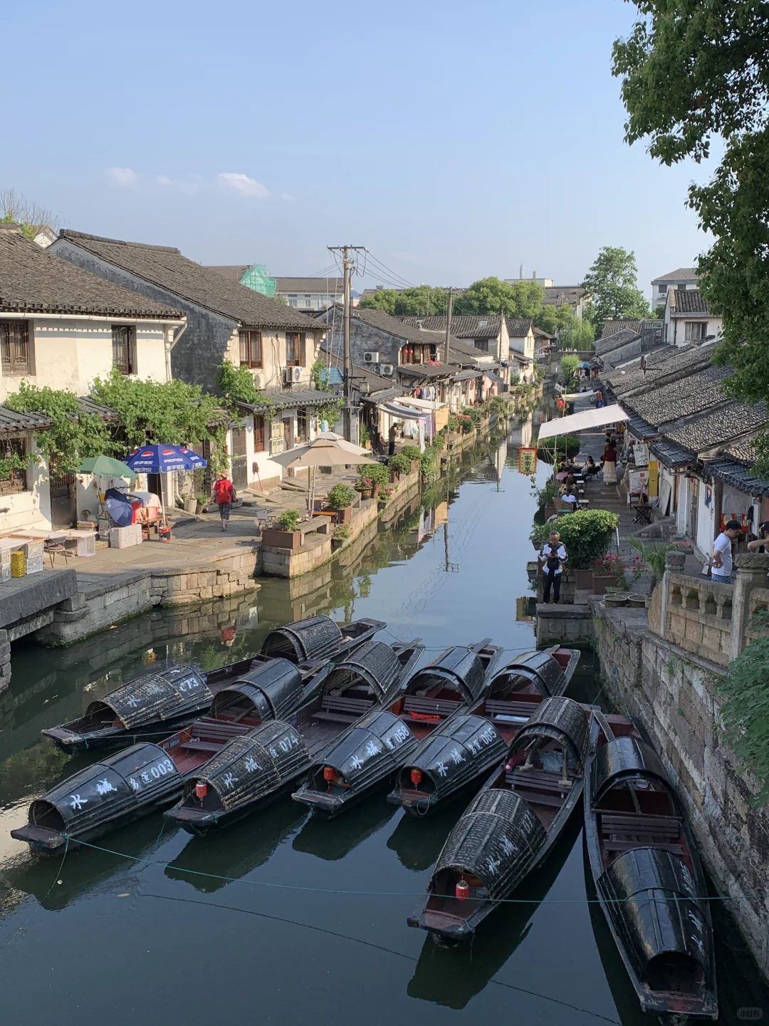 迅哥儿，你家好美🥹