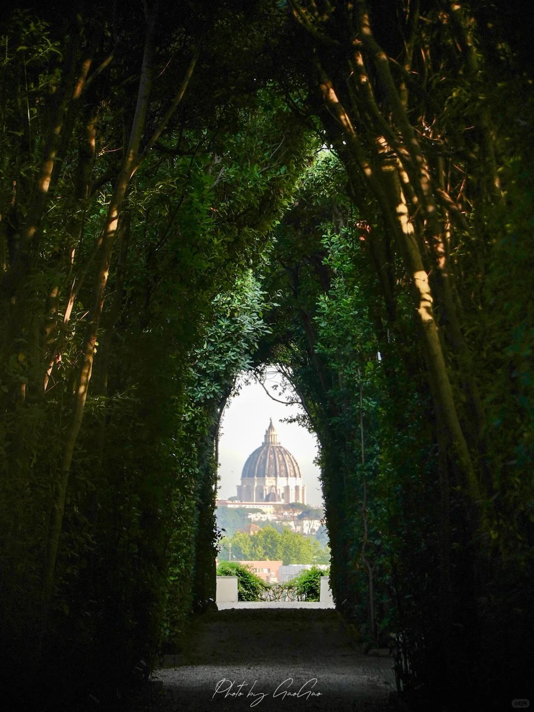 记忆里的阳光是罗马色的