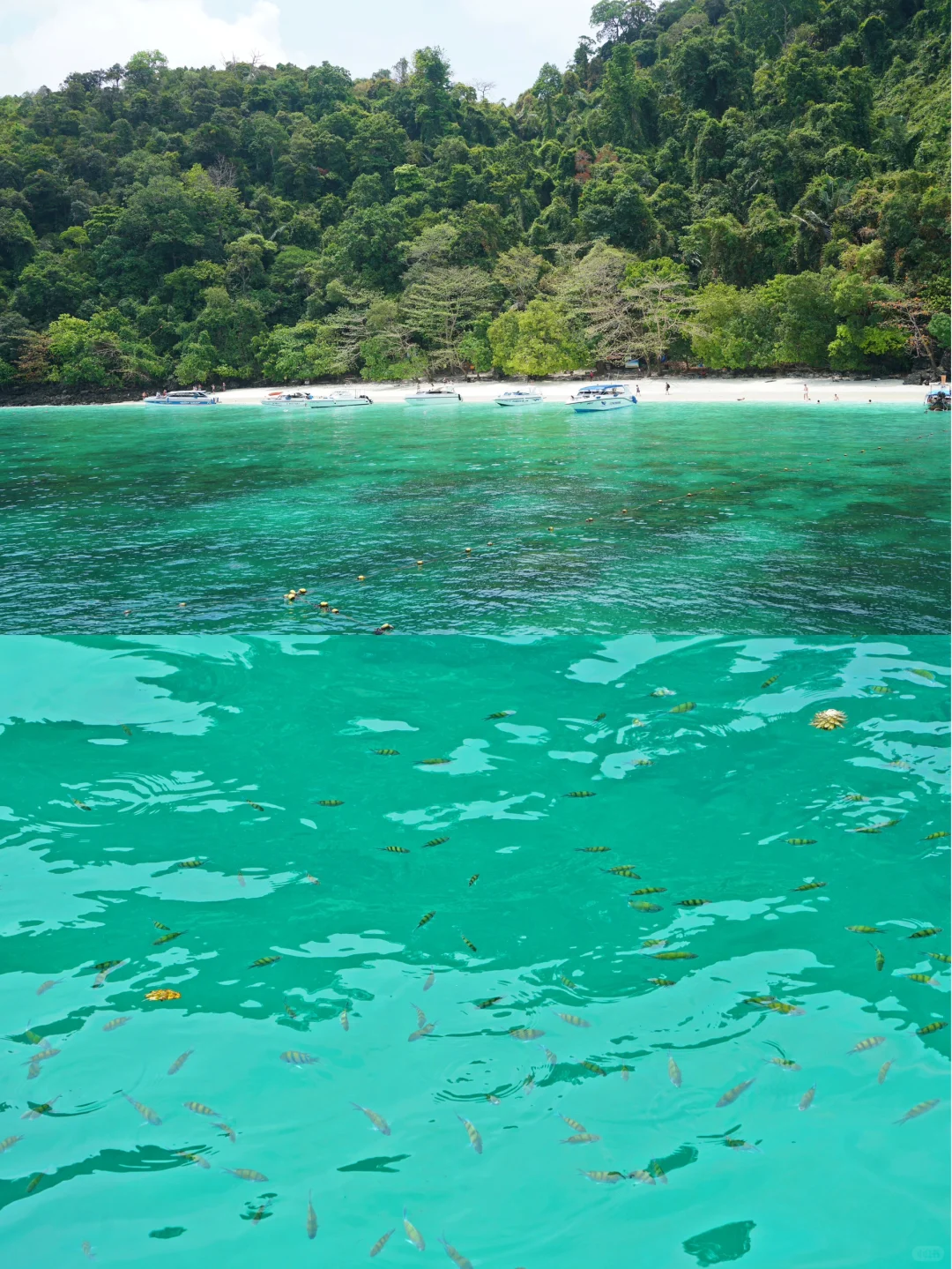 普吉岛会奖励每一个认真做攻略的人