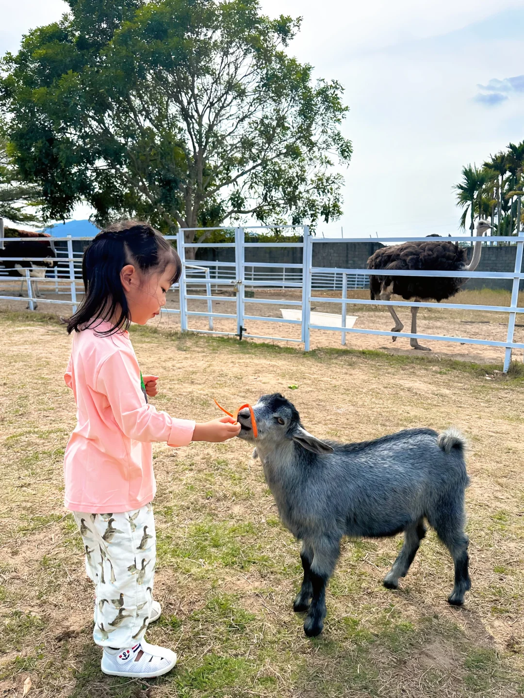 人生建议：带娃去陵水，一定要暑假去！