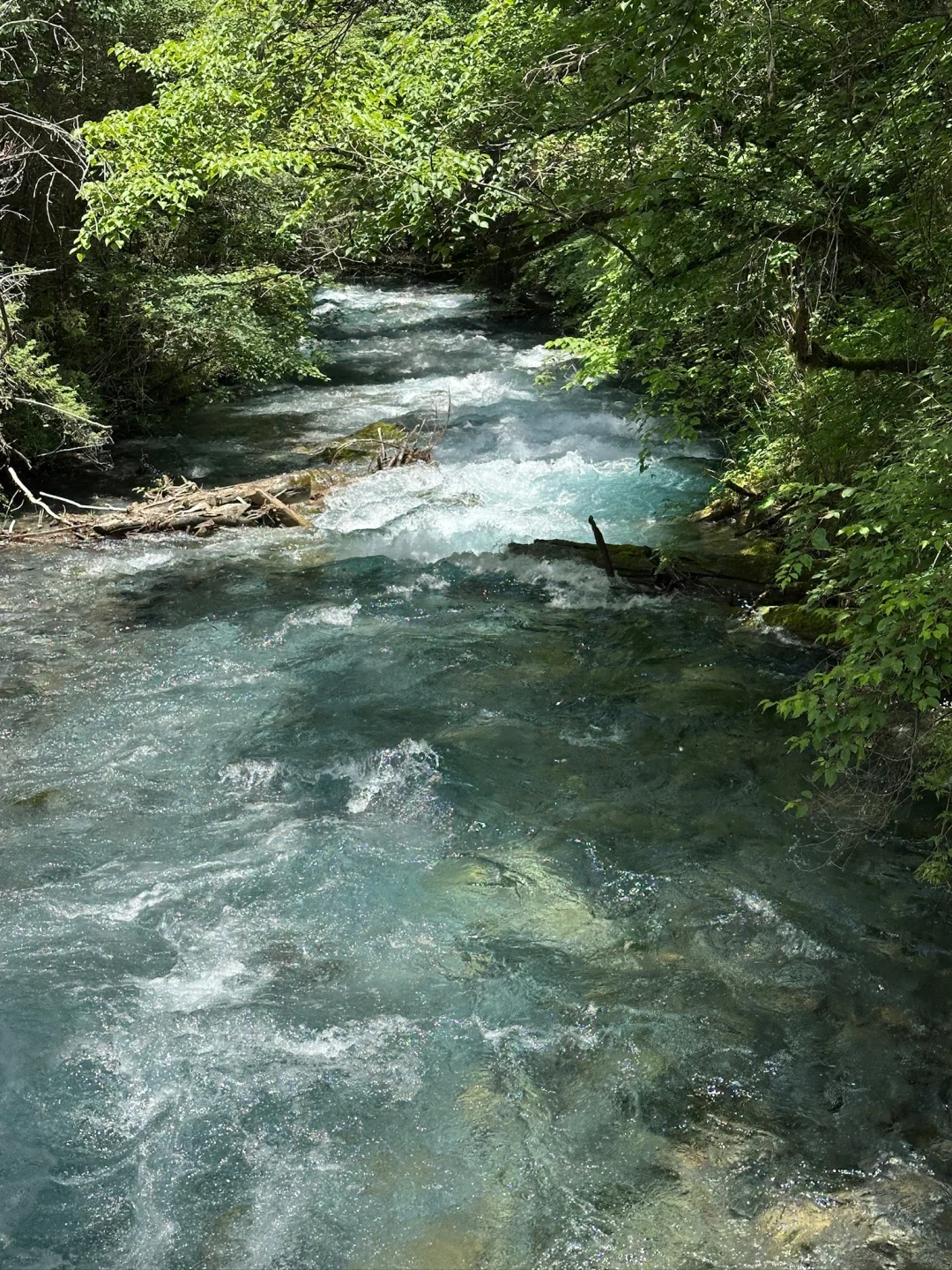 九寨沟7月中旬实况