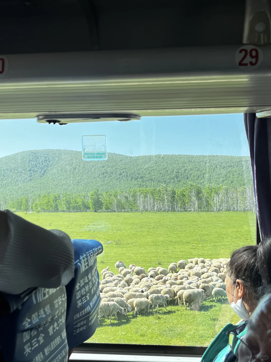 大学生一个人公共交通游呼伦贝尔攻略