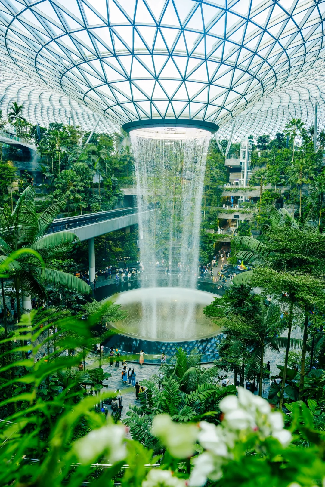 新加坡Citywalk的照片，发朋友圈被问疯了‼️