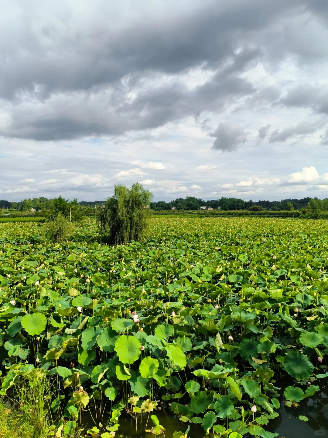 苏马荡周边游（建南、汪营）