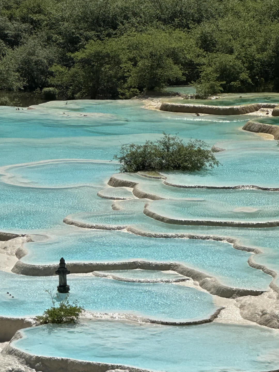 黄龙五彩池｜7.17实况图片🤩