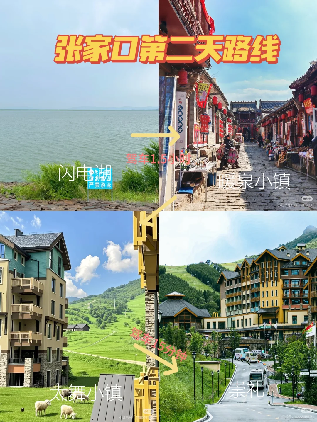 🌿张家口避暑攻略｜19℃的草原天堂