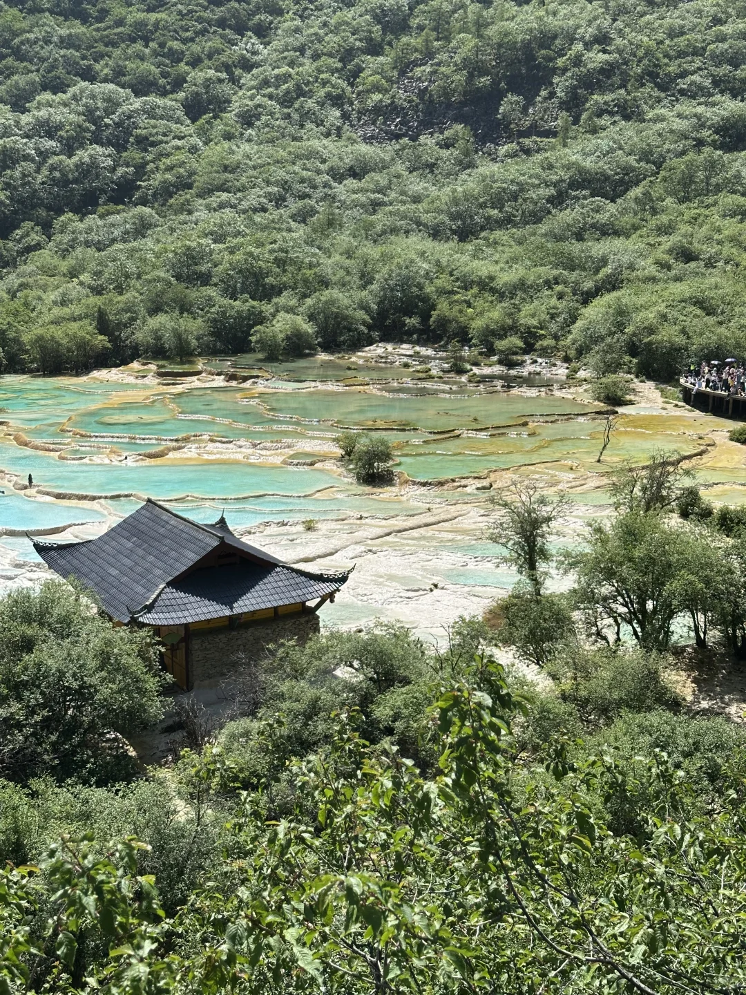 黄龙五彩池｜7.17实况图片🤩