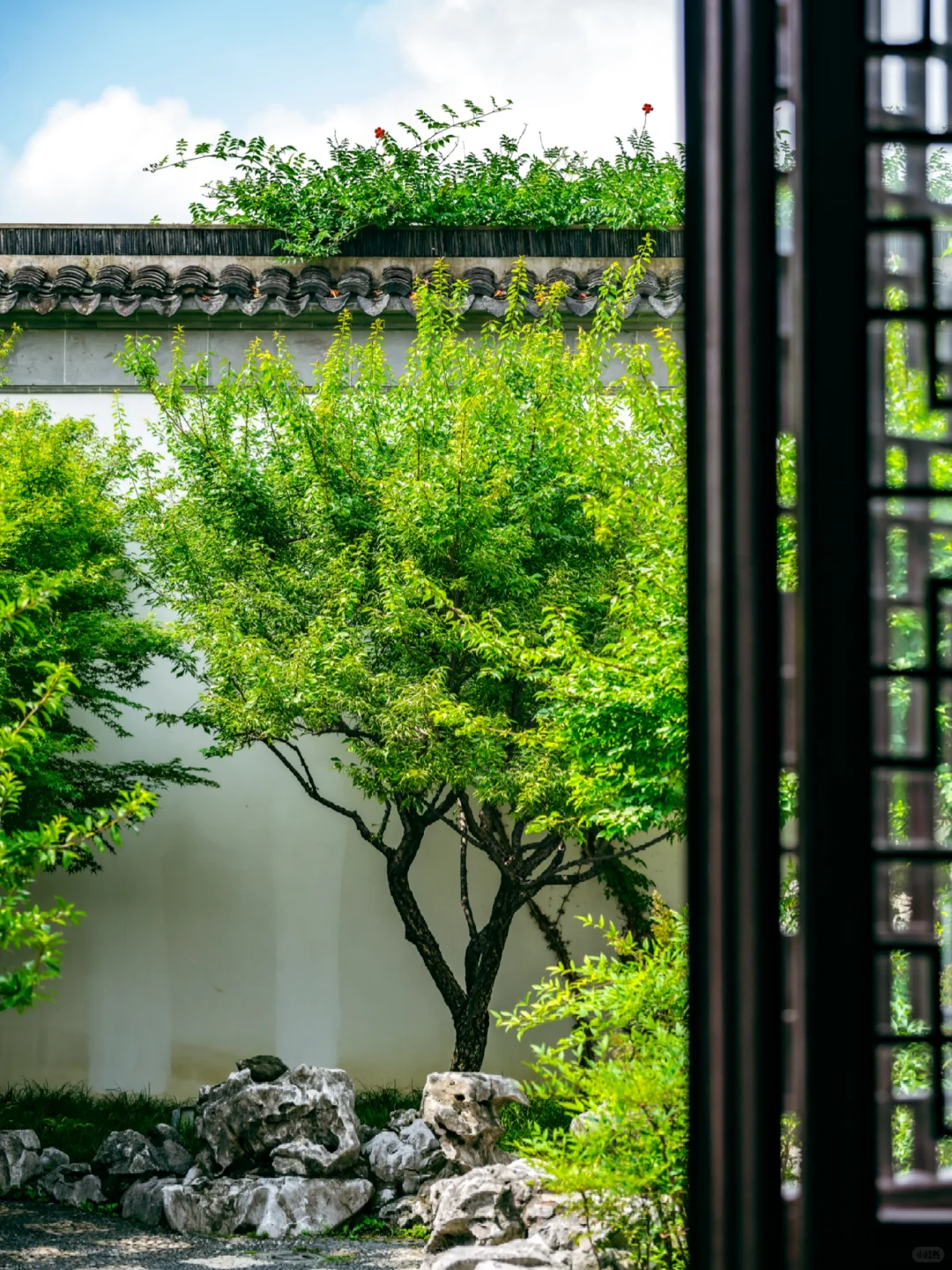 夏日游苏州❗建议直接复制这条路线❗