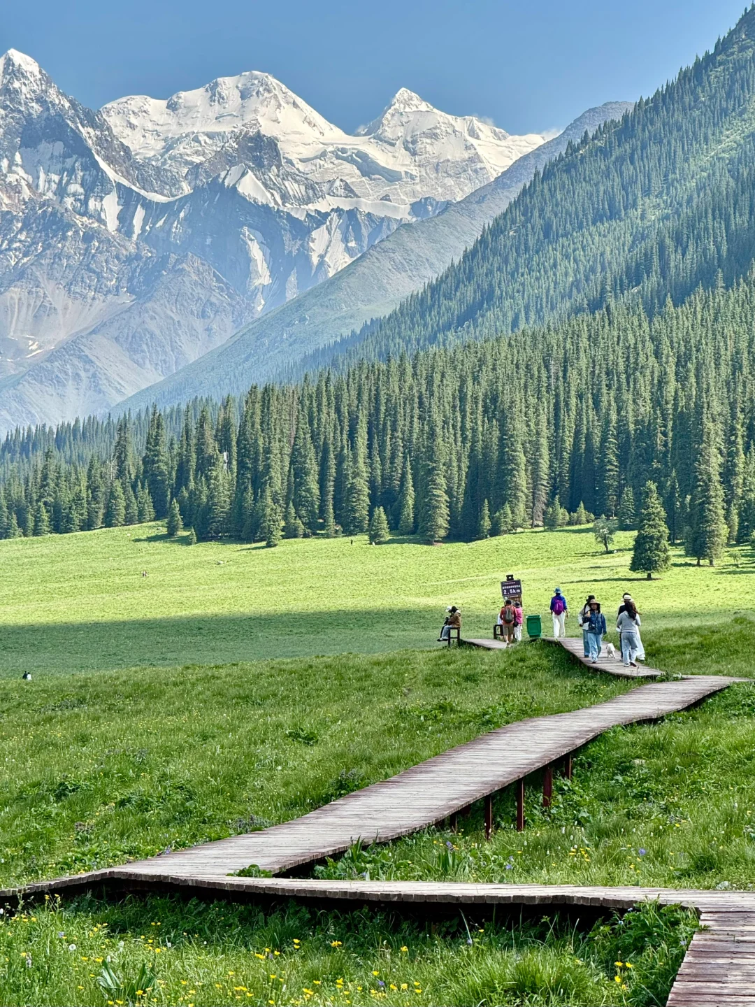 雪山草原🏔️夏塔的美无可替代……