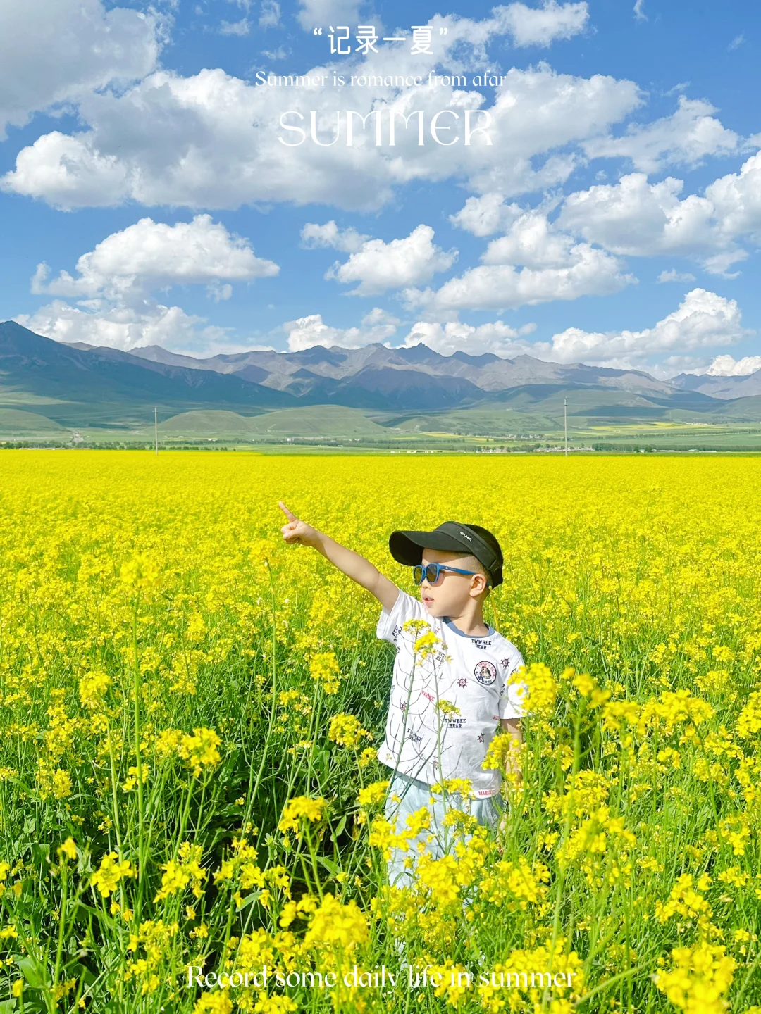 七月门源,大自然的顶级金色浪漫🧡🧡