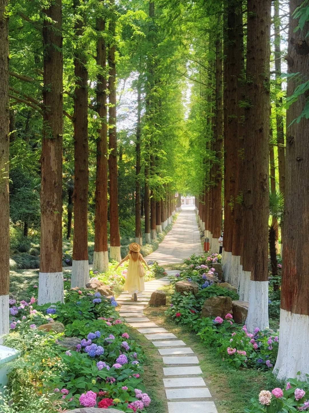 live｜藏在南京市区的“绿野仙踪” 人少免费