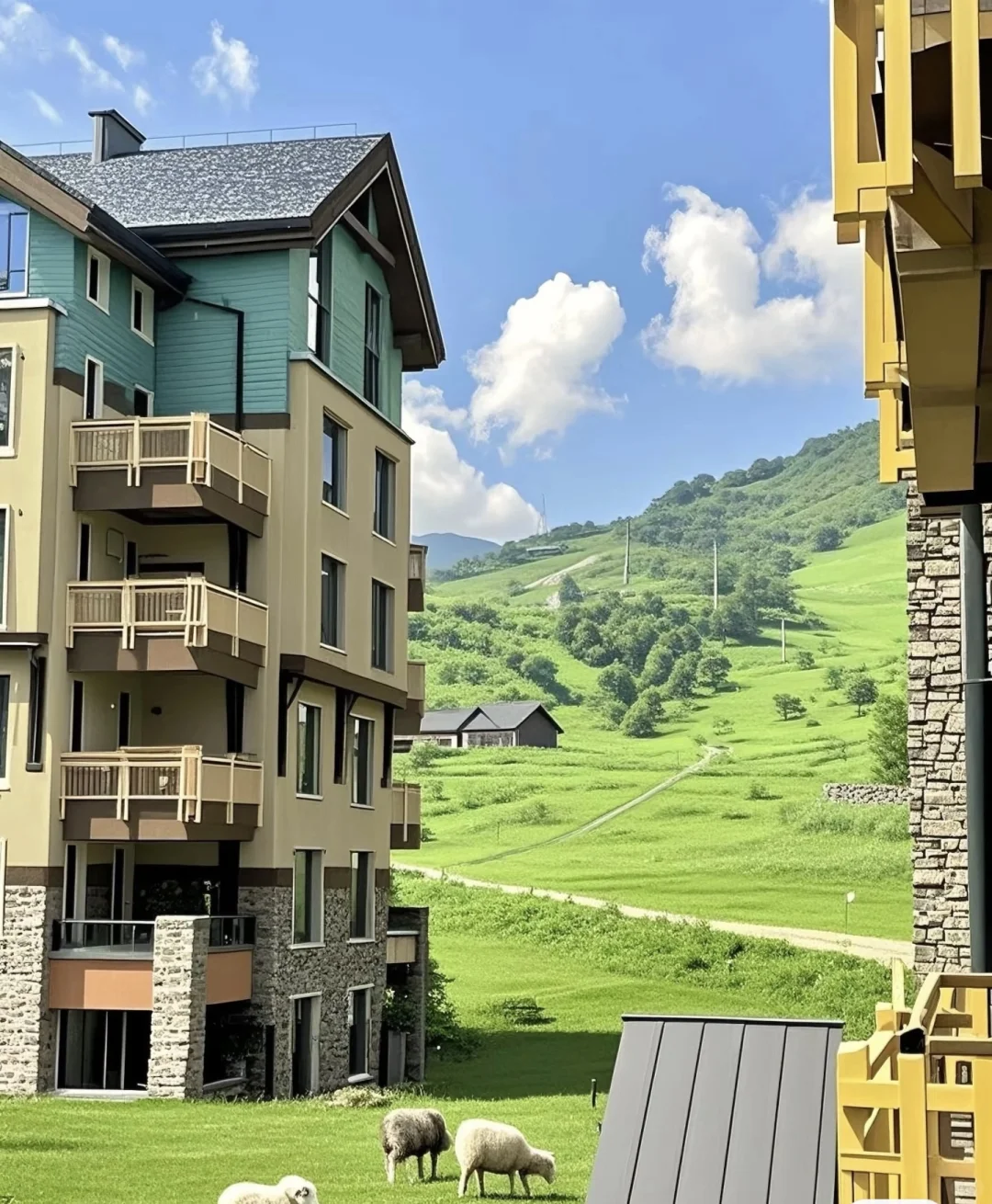 🌿张家口避暑攻略｜19℃的草原天堂