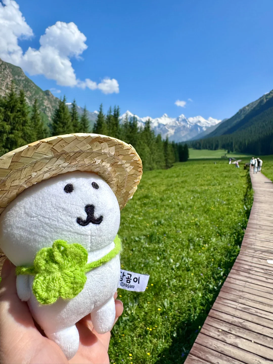 雪山草原🏔️夏塔的美无可替代……