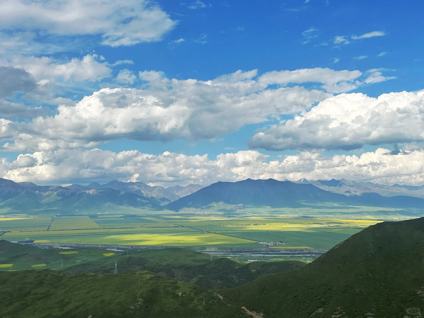 七月门源,大自然的顶级金色浪漫🧡🧡