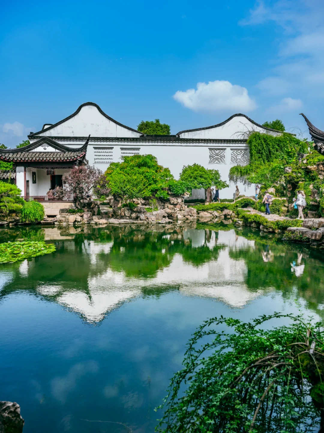 夏日游苏州❗建议直接复制这条路线❗