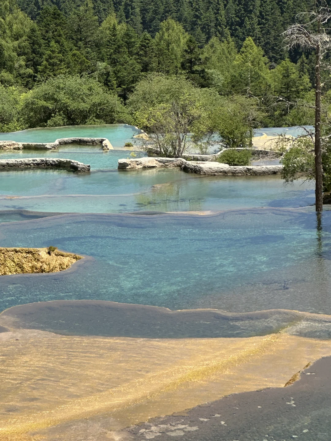 黄龙五彩池｜7.17实况图片🤩