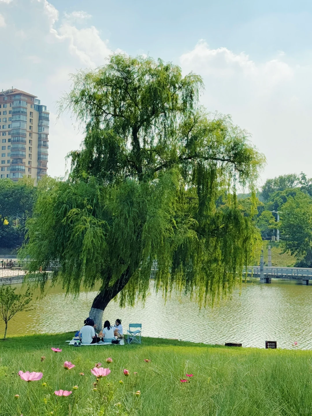 live｜藏在南京市区的“绿野仙踪” 人少免费