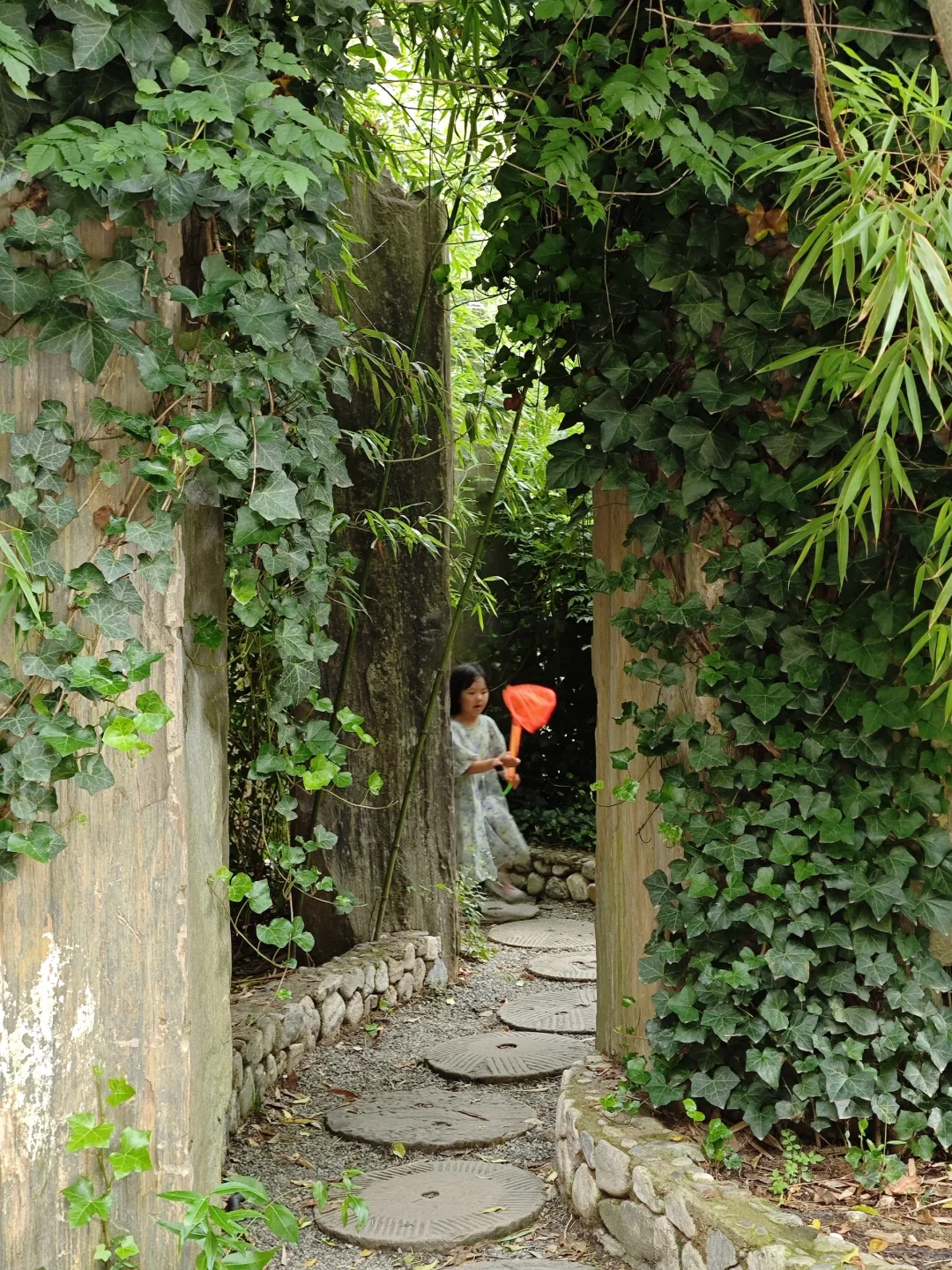终南山寨|藏在秦岭的童话世界!