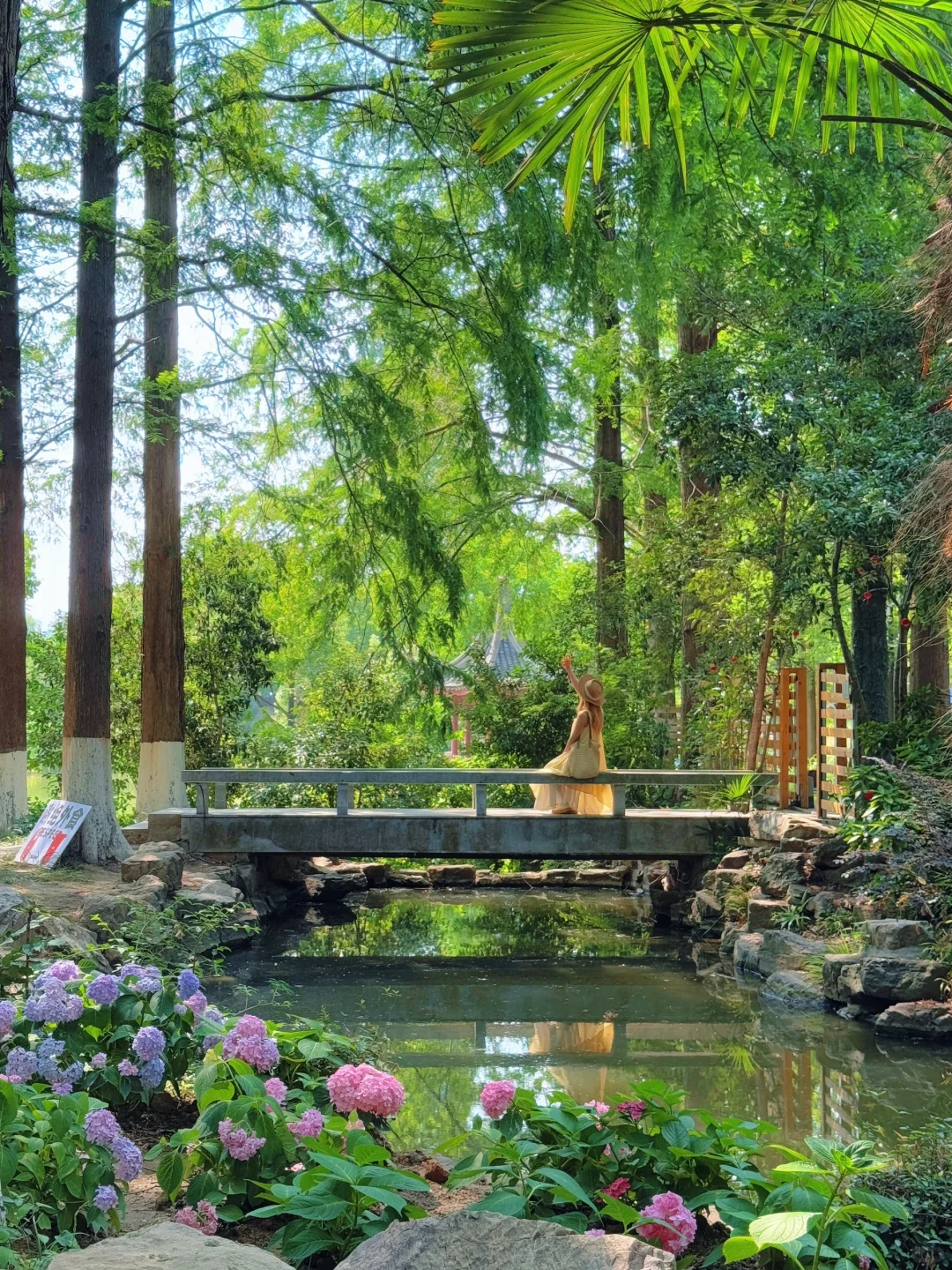 live｜藏在南京市区的“绿野仙踪” 人少免费