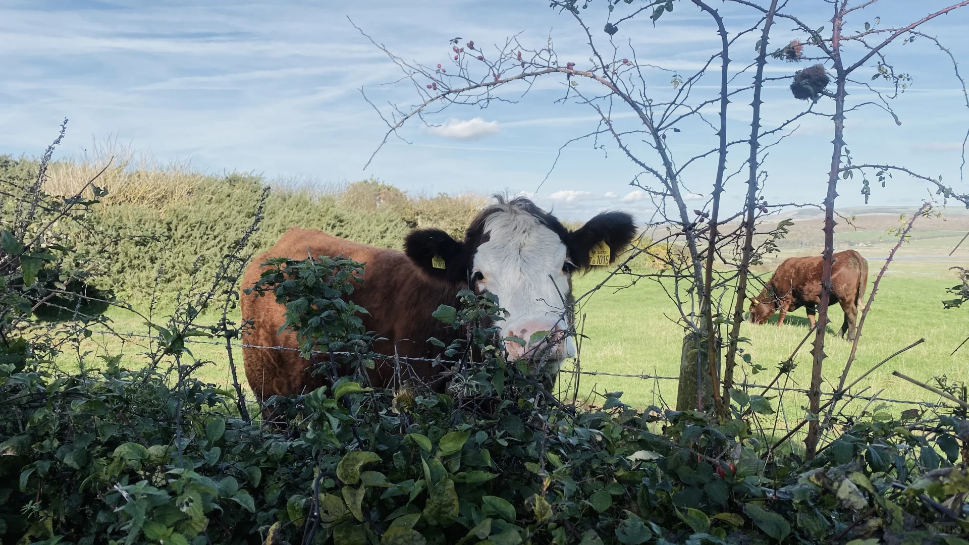 Hiking Day⛰️ 白崖一定要来这里！