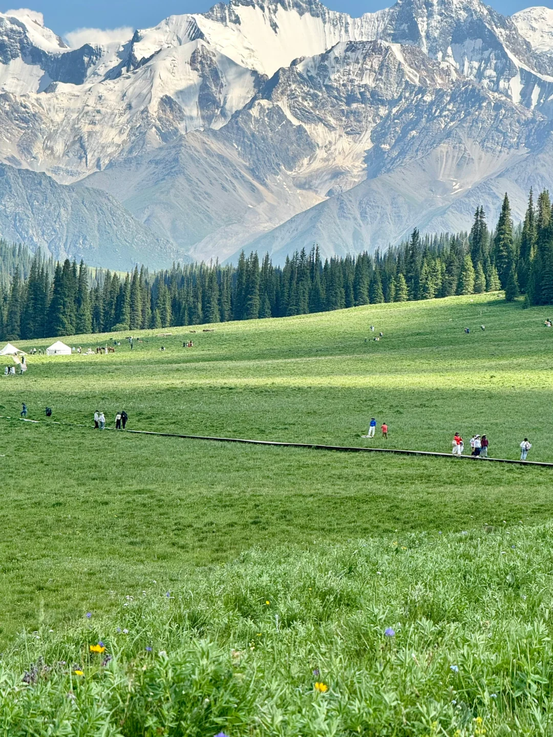 雪山草原🏔️夏塔的美无可替代……