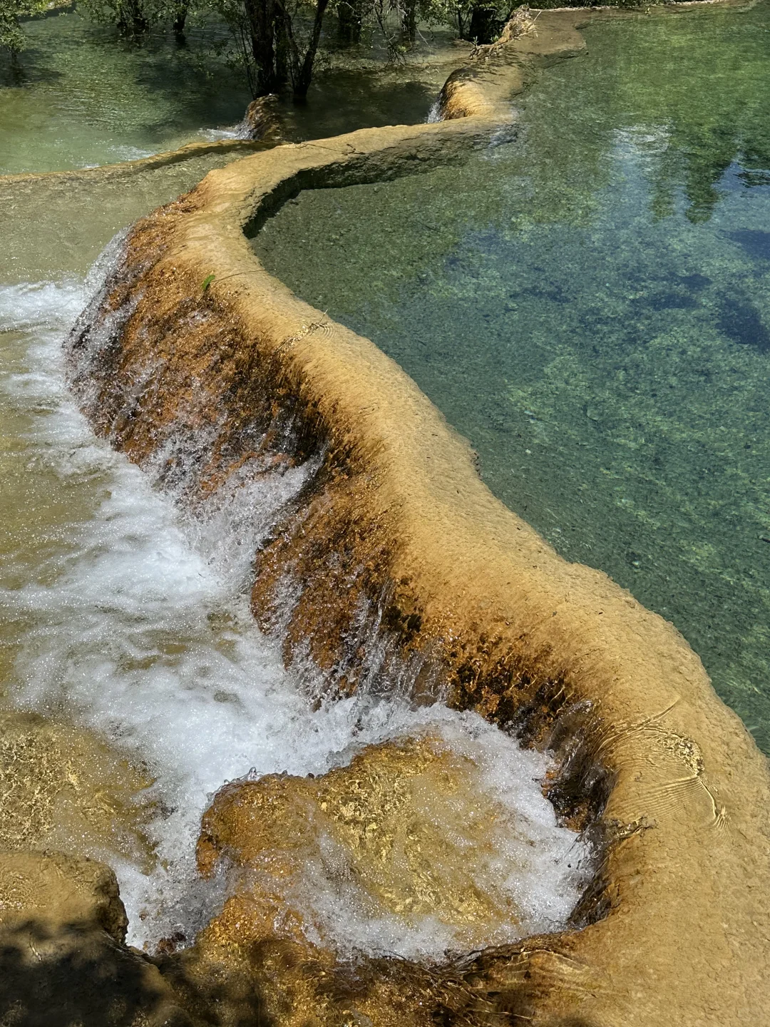 黄龙五彩池｜7.17实况图片🤩