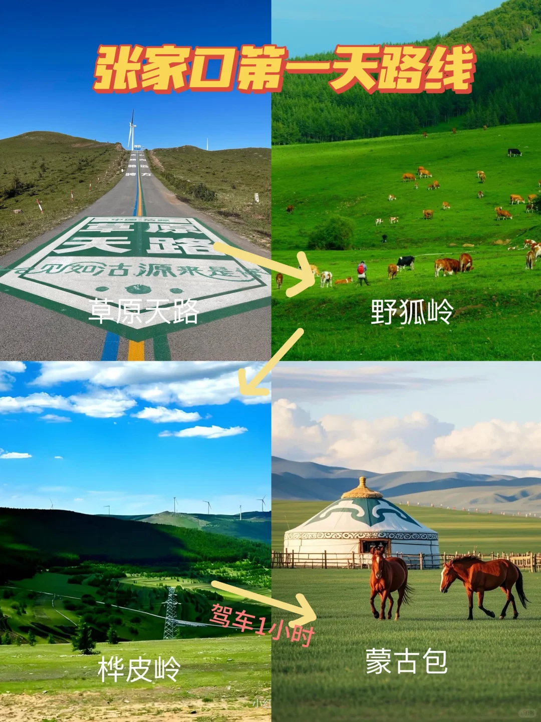 🌿张家口避暑攻略｜19℃的草原天堂