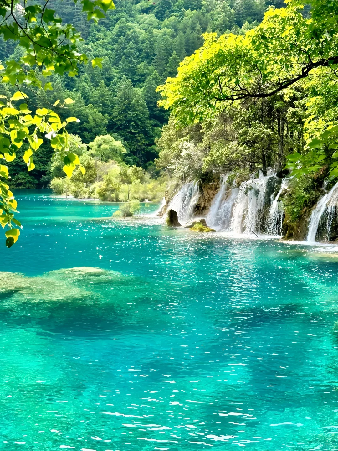 🔥【九寨沟仙境探秘】保姆级