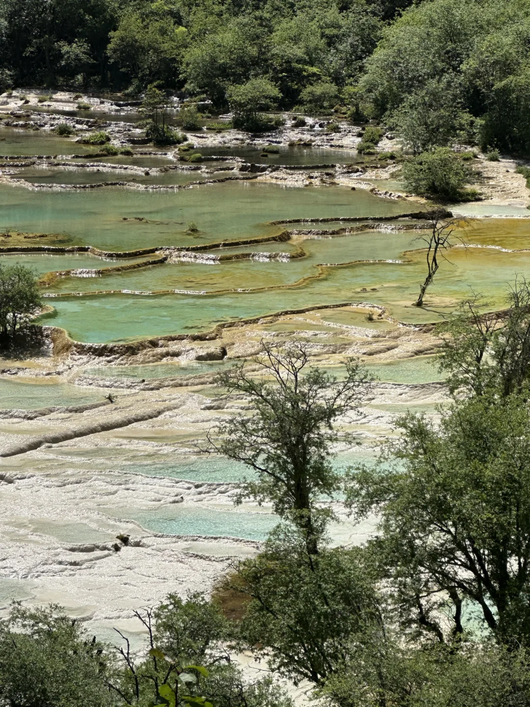 黄龙五彩池｜7.17实况图片🤩