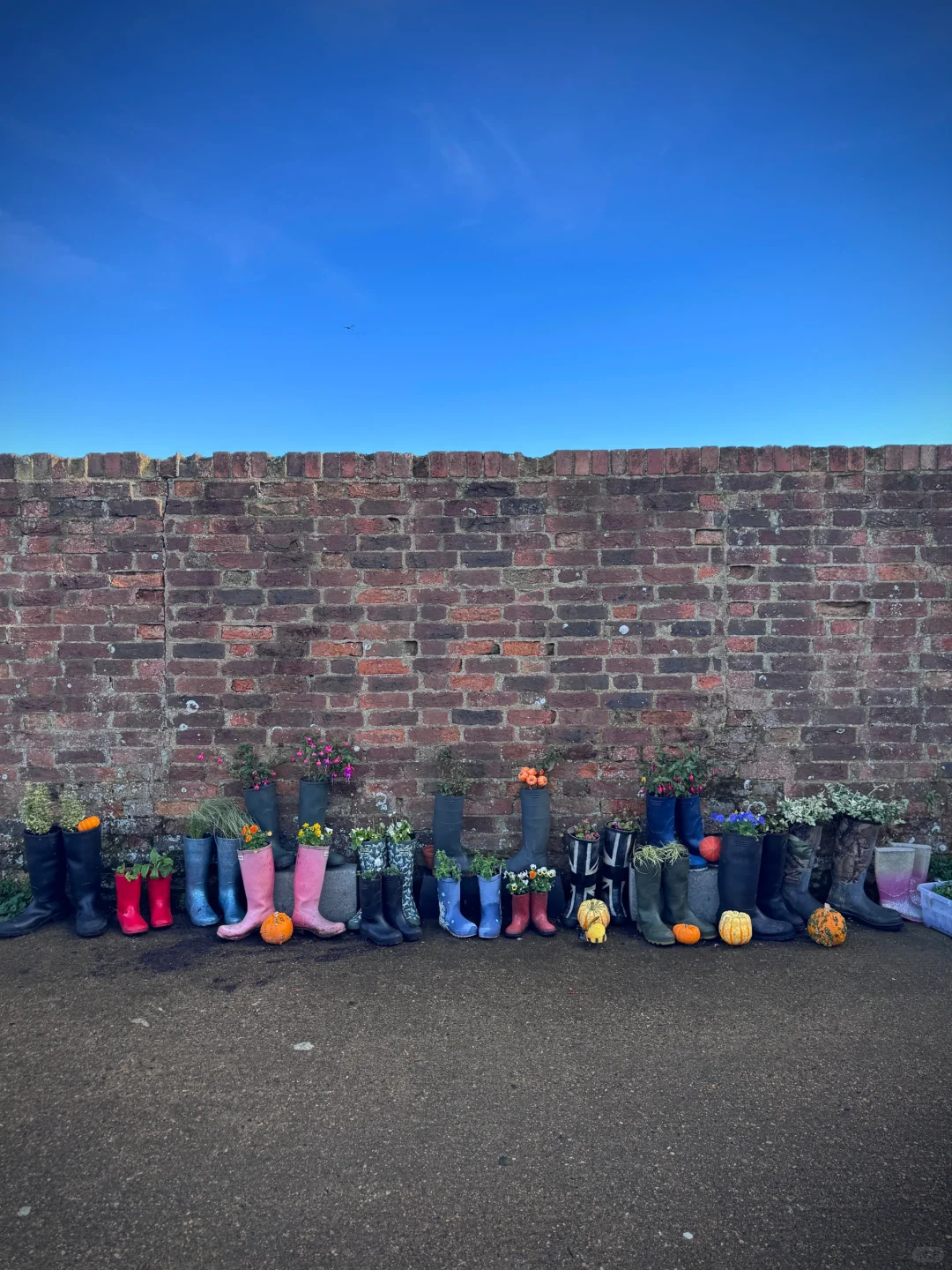 Hiking Day⛰️ 白崖一定要来这里！