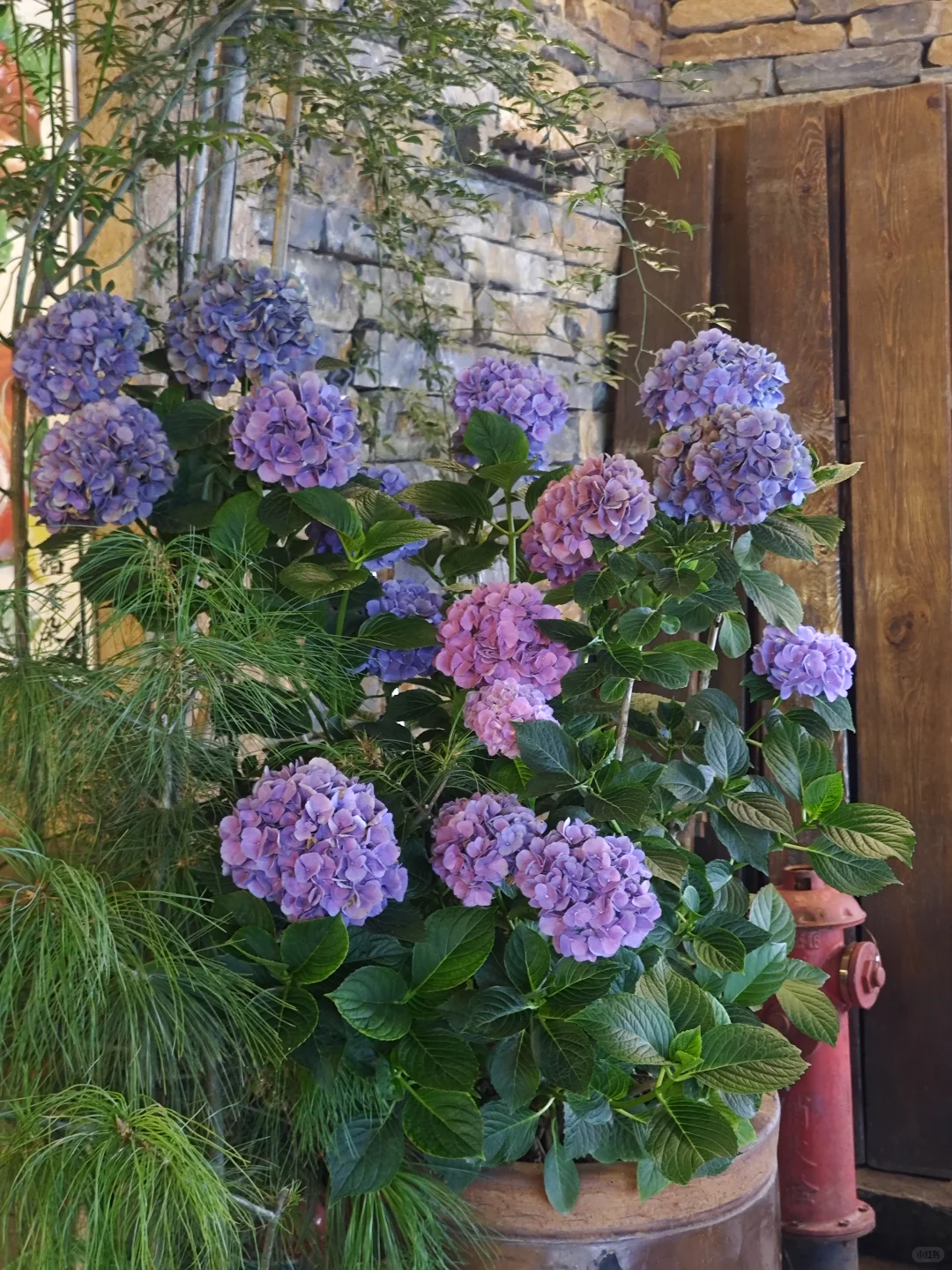 终南山寨|藏在秦岭的童话世界!