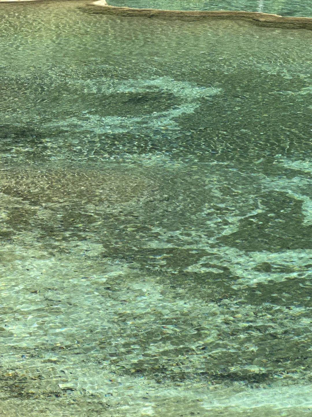 黄龙五彩池｜7.17实况图片🤩