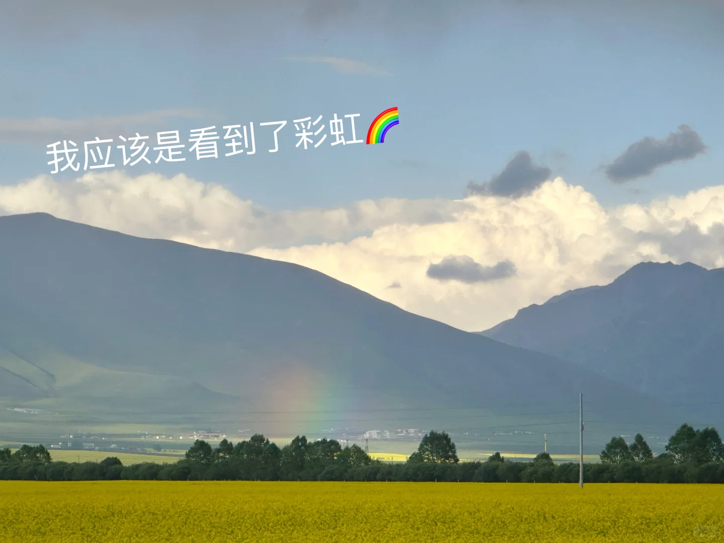 七月门源,大自然的顶级金色浪漫🧡🧡