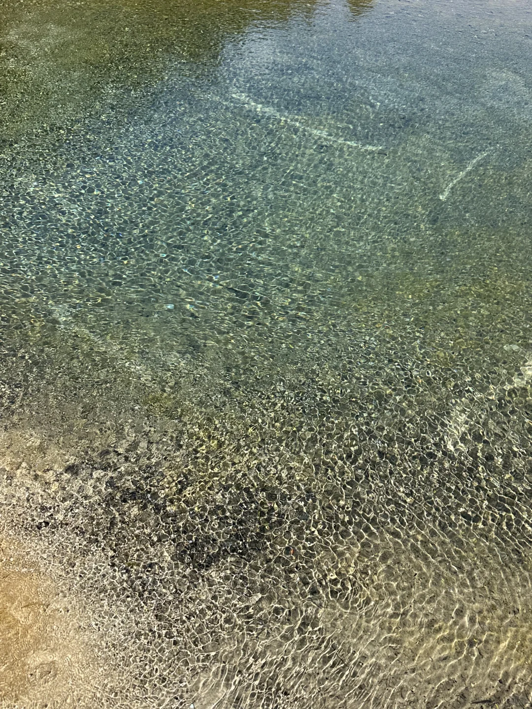 黄龙五彩池｜7.17实况图片🤩