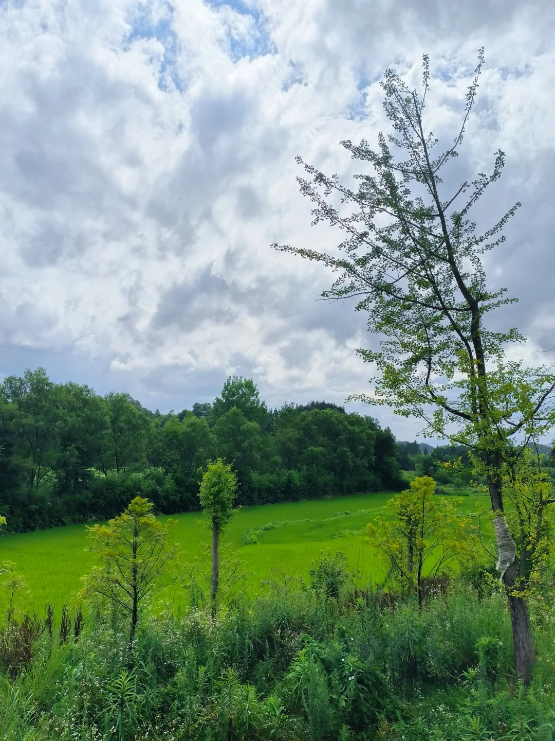 苏马荡周边游（建南、汪营）