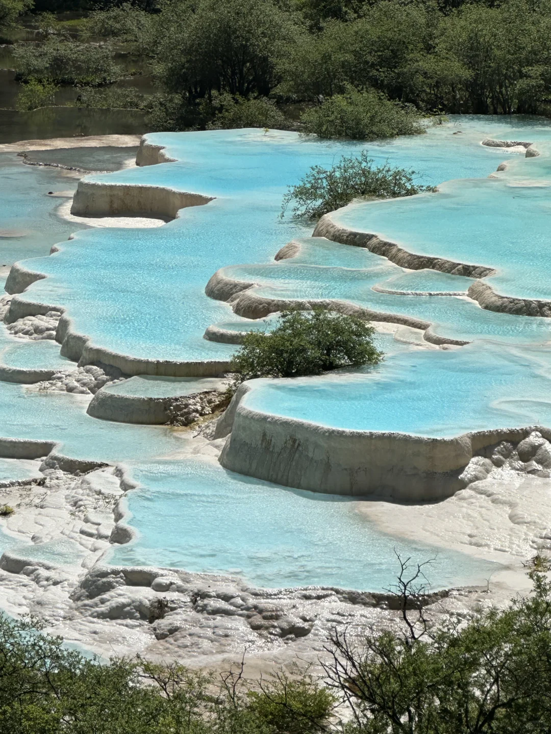 黄龙五彩池｜7.17实况图片🤩