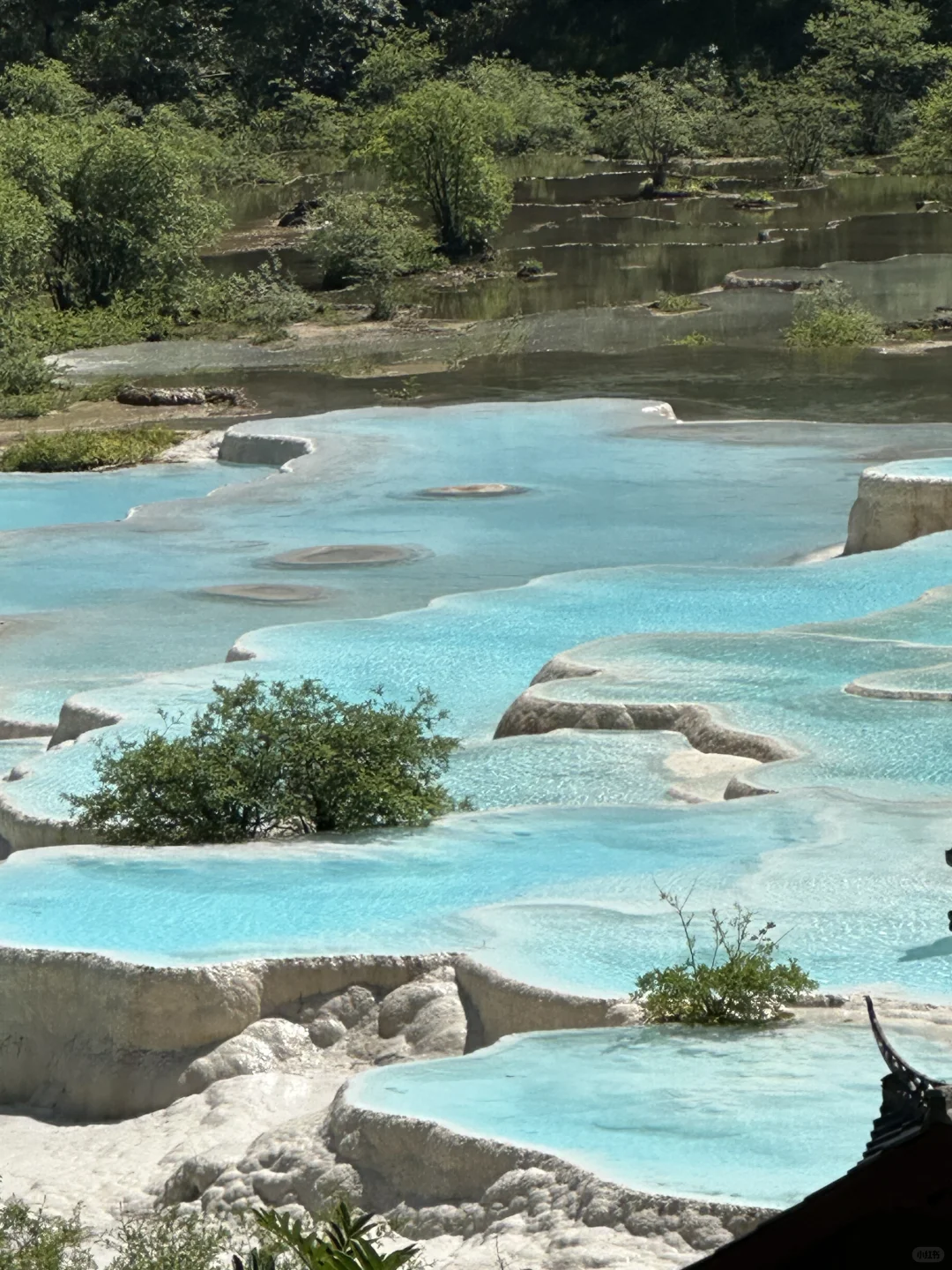 黄龙五彩池｜7.17实况图片🤩
