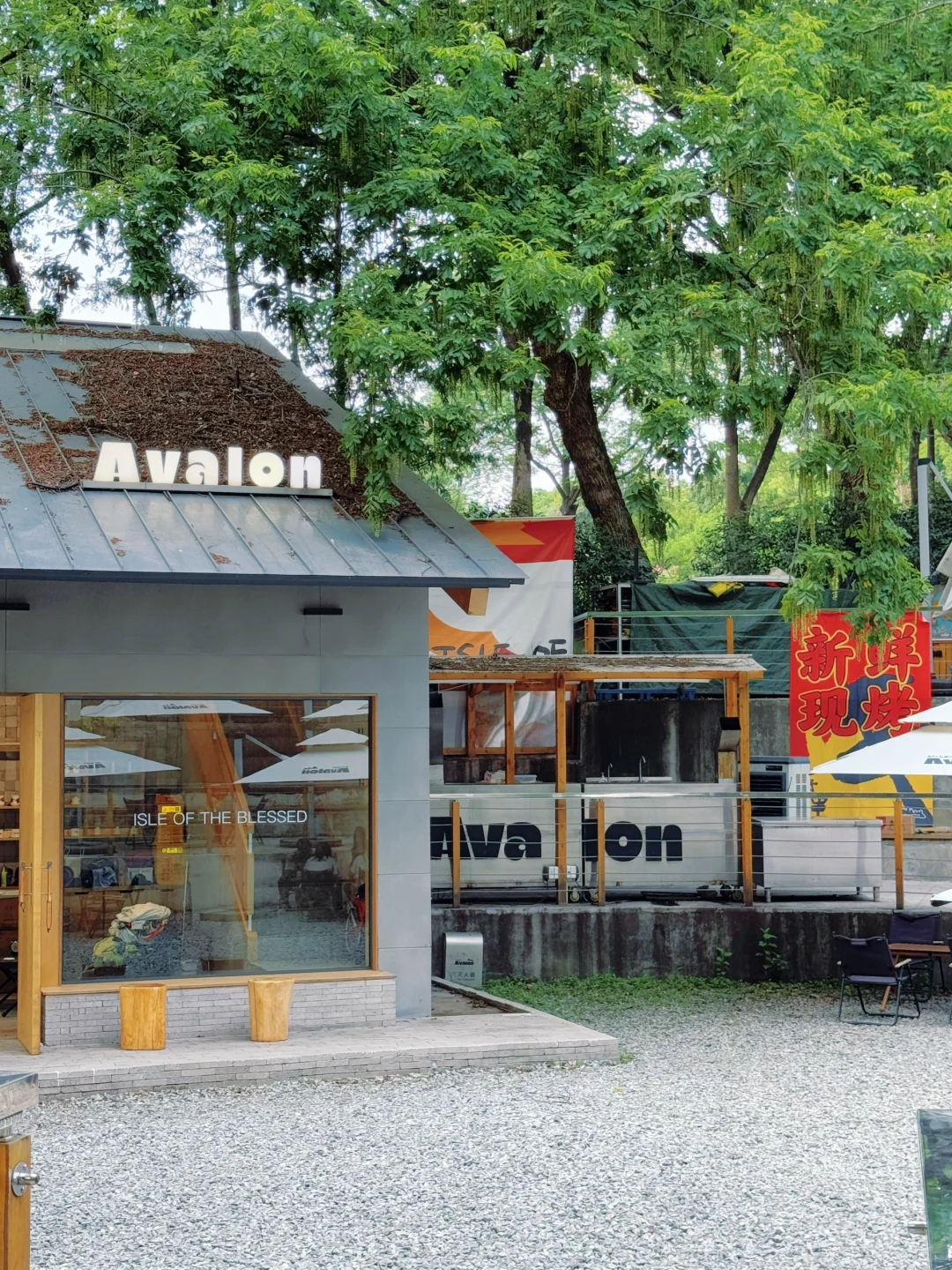 live｜藏在南京市区的“绿野仙踪” 人少免费