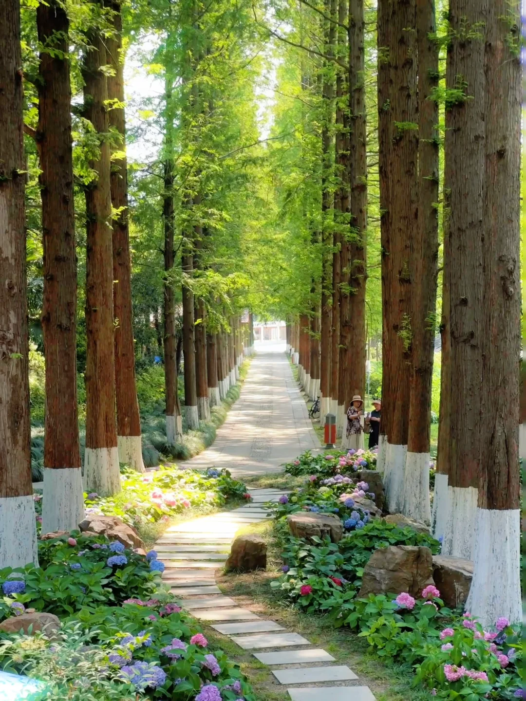 live｜藏在南京市区的“绿野仙踪” 人少免费